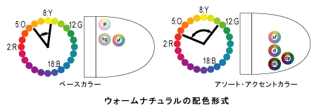 ウォームナチュラルの配色形式