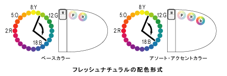 フレッシュナチュラルの配色形式